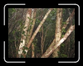 Tortola 123 * 2592 x 1944 * (3.12MB)